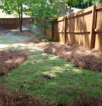 Weed Control — Grass Remove in Backyard in Oxford, MS