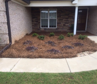 Landscaping — Front View of House Landscape in Oxford, MS