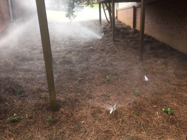 Fertilization — Water Sprinkle in Garden  in Oxford, MS