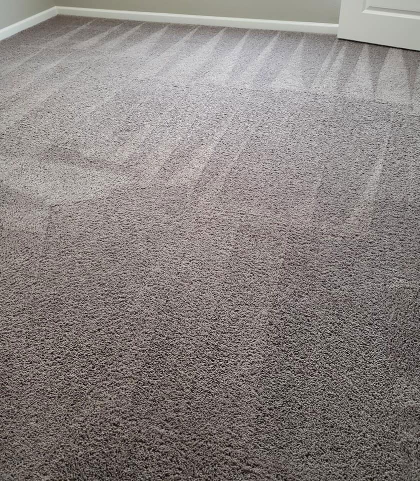 Residential & Commercial Carpet Cleaning Kalamazoo, MI