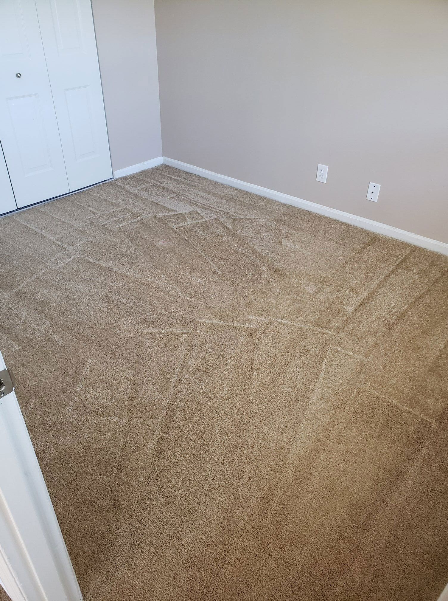 Residential & Commercial Carpet Cleaning Kalamazoo, MI