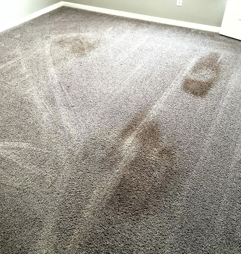 Residential & Commercial Carpet Cleaning Kalamazoo, MI