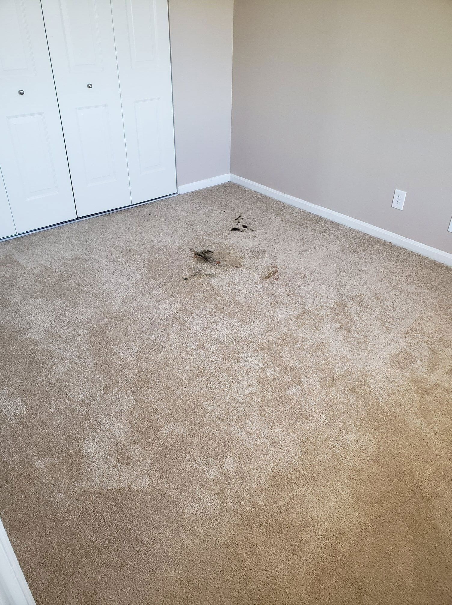 Residential & Commercial Carpet Cleaning Kalamazoo, MI