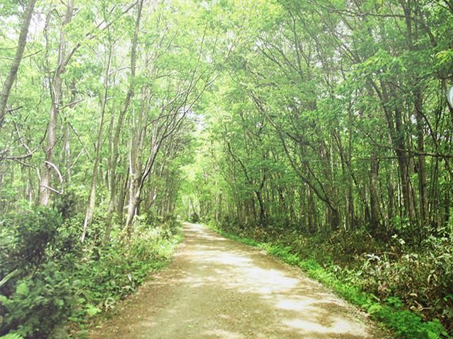 客製化大圖輸出簾