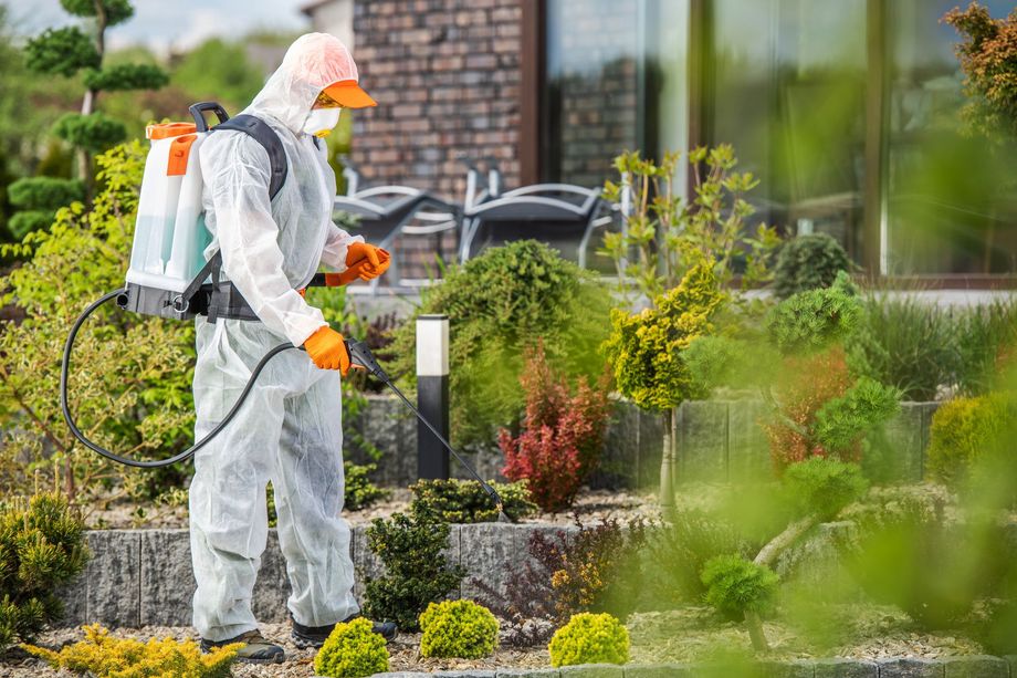 Persona con tuta protettiva che spruzza acqua sulle piante in un giardino.