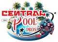 Logo for Central Pool Pros LLC, featuring a pool, palm trees, and an American flag eagle.
