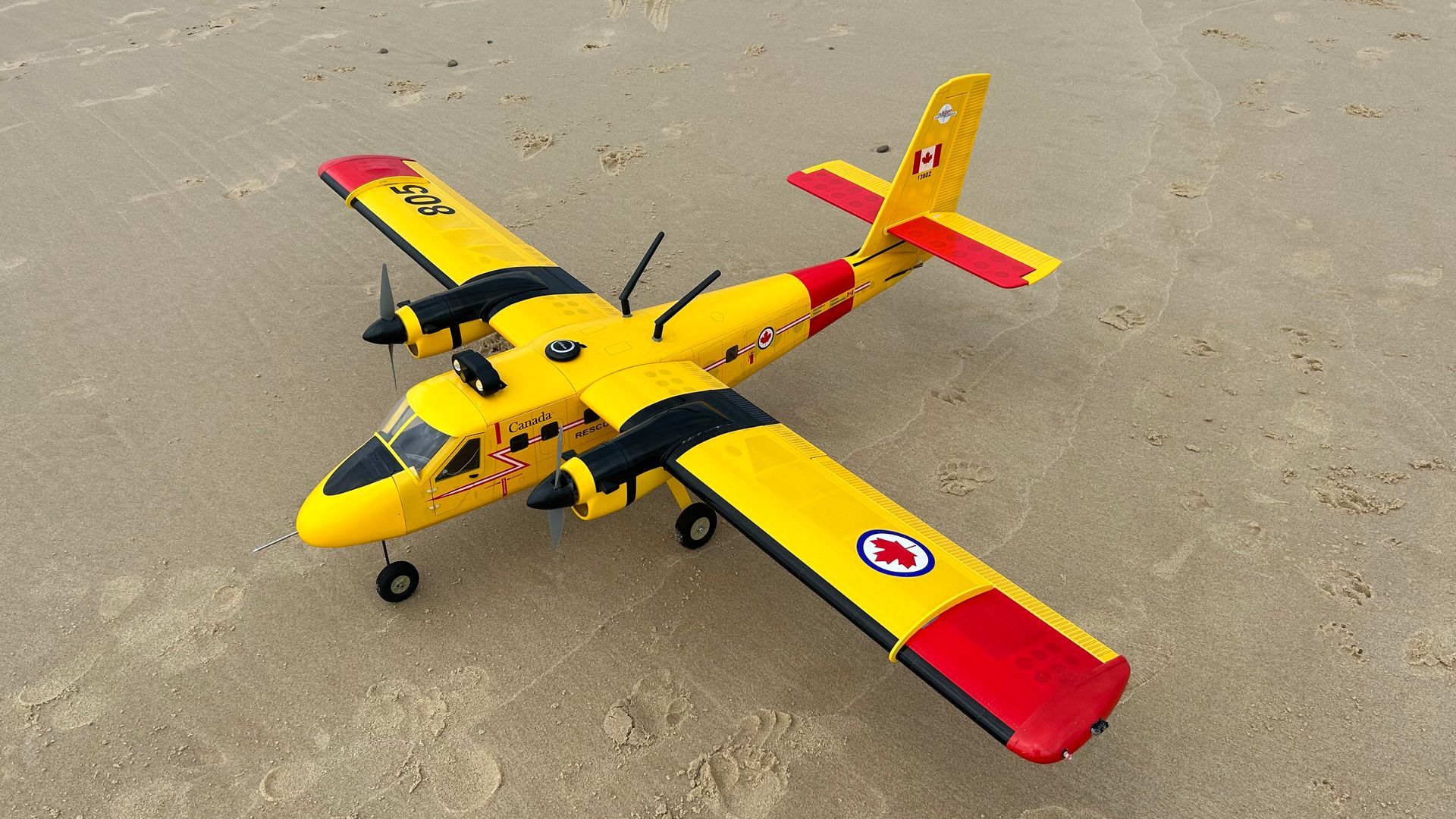 Twin Otter Shark Spotter