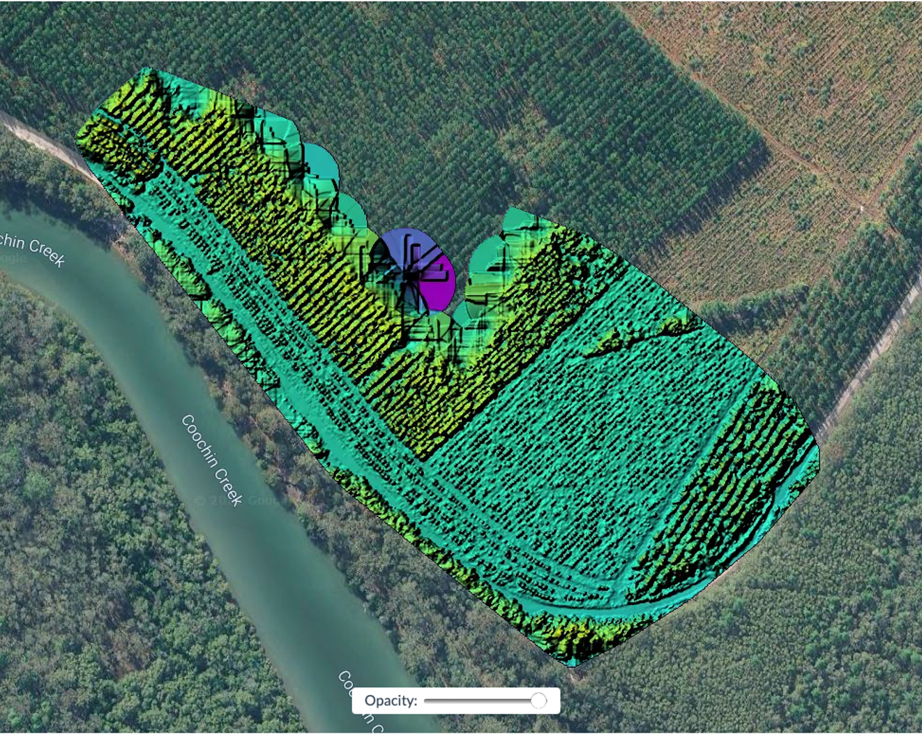 Othographic Reconstruct