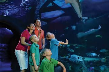 A family is looking at fish in an aquarium.