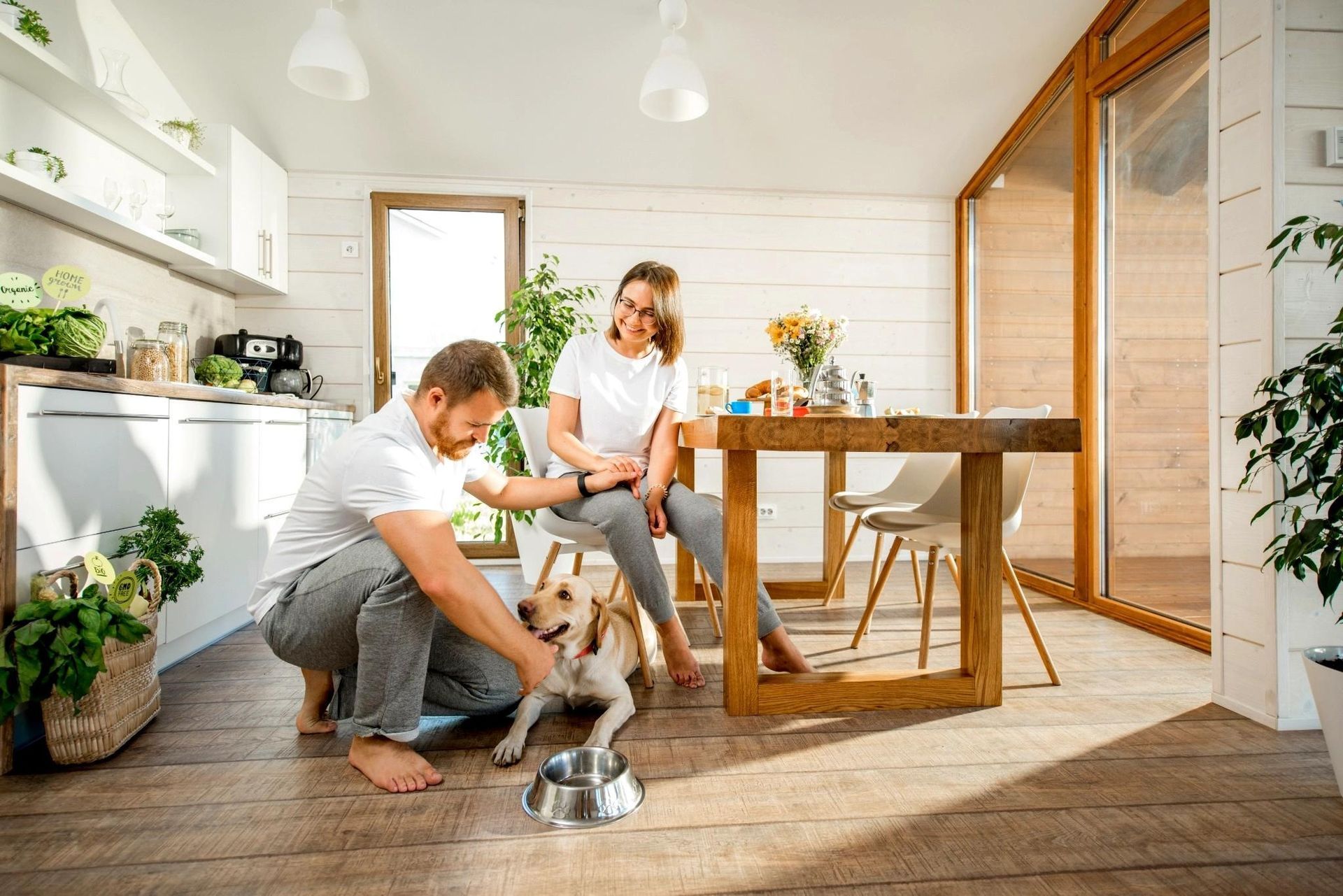Pet-Friendly Apartment in Dallas Fort Worth Metro Area, Tx