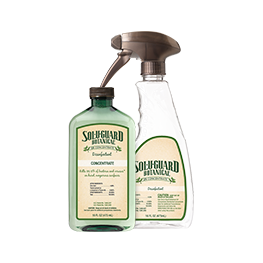 Two bottles of solidguard botanical are sitting next to each other on a white background.