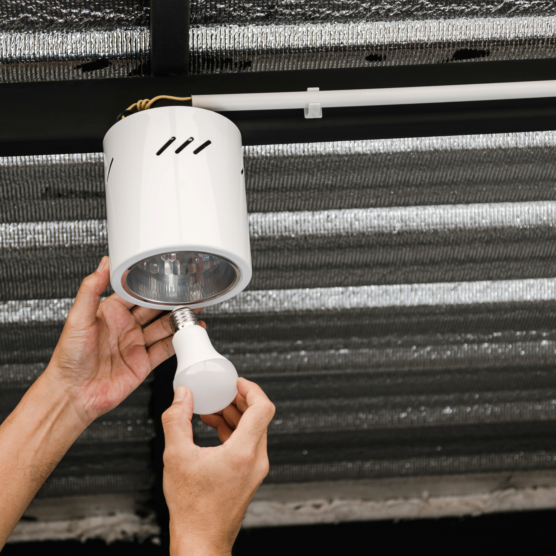 Hands screwing a light bulb into a white track lighting fixture on a ceiling with silver insulation.