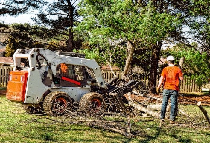 Bobcat tractor loading tree branches; worker in orange shirt stands nearby.