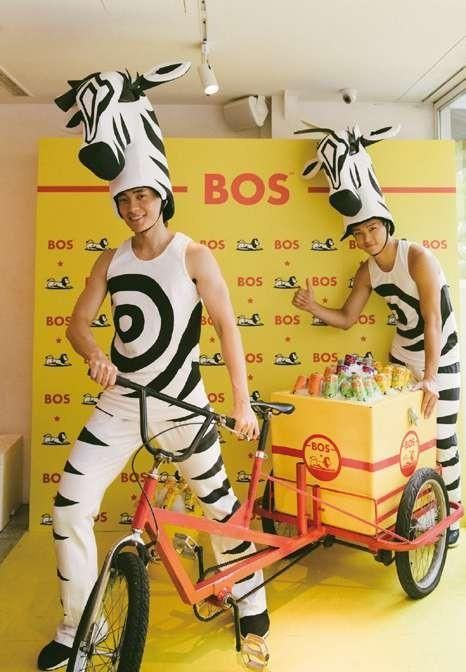 BOS 南非國寶茶