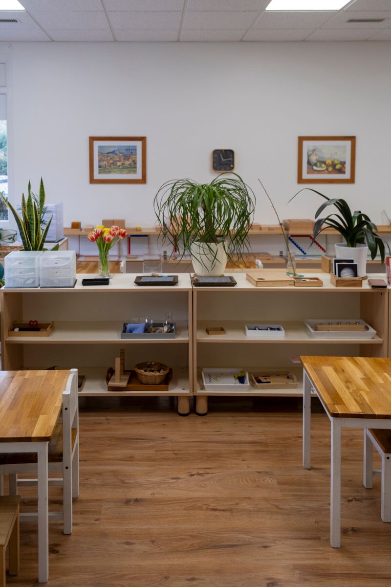 Salle de classe ou bureau intérieur avec étagères en bois, plantes en pot et tableaux encadrés