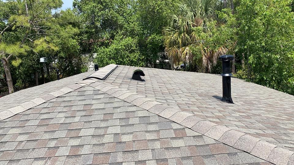 A shingled roof with ventilation pipes, set against a backdrop of green trees under a bright sky.