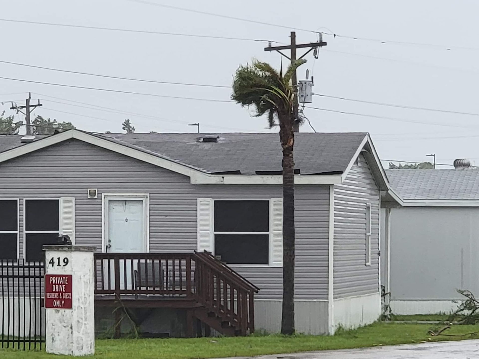A mobile home with a palm tree swaying in the wind next to a utility pole.