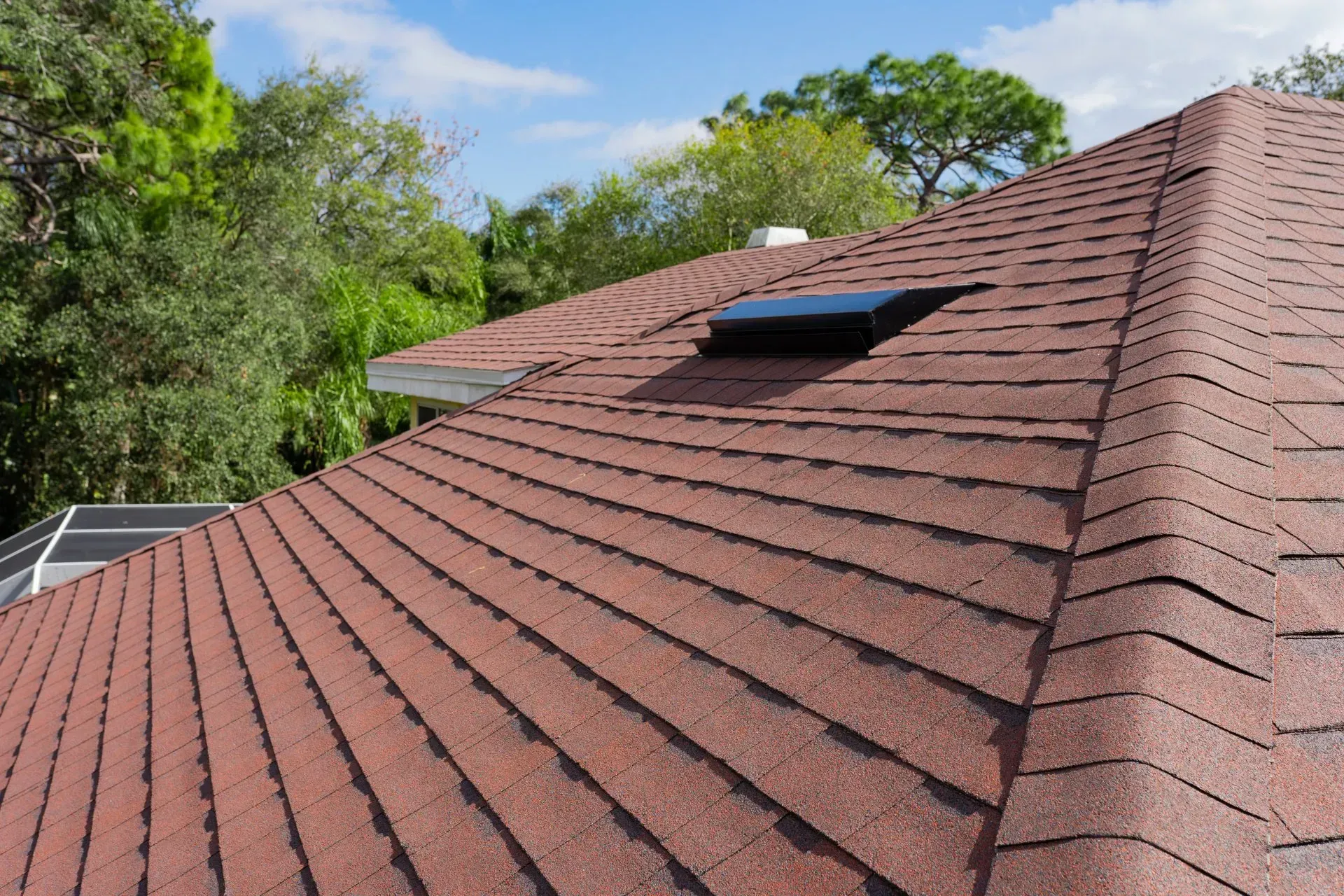 Brown asphalt shingle roof with a skylight; trees in the background.