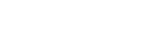 family values logo
