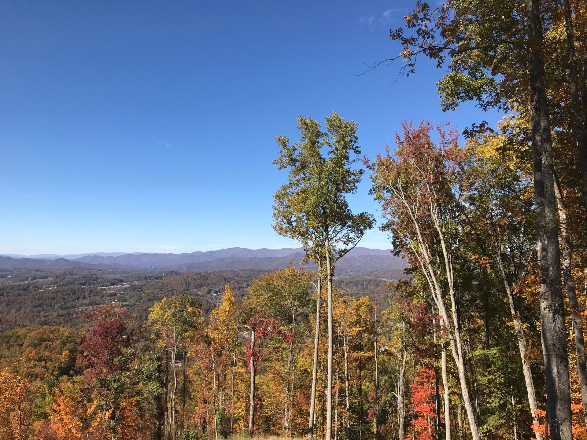 northwestern view of blue ridge mountains land for sale franklin NC