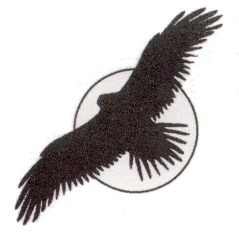 Bill Vernon Development logo mark eagle