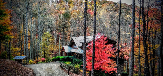 log home in the woods lot 09 featherstone community franklin nc