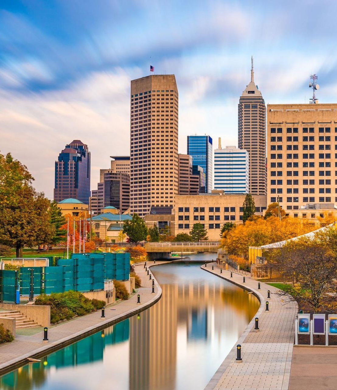 A tree branch with green leaves against a white background