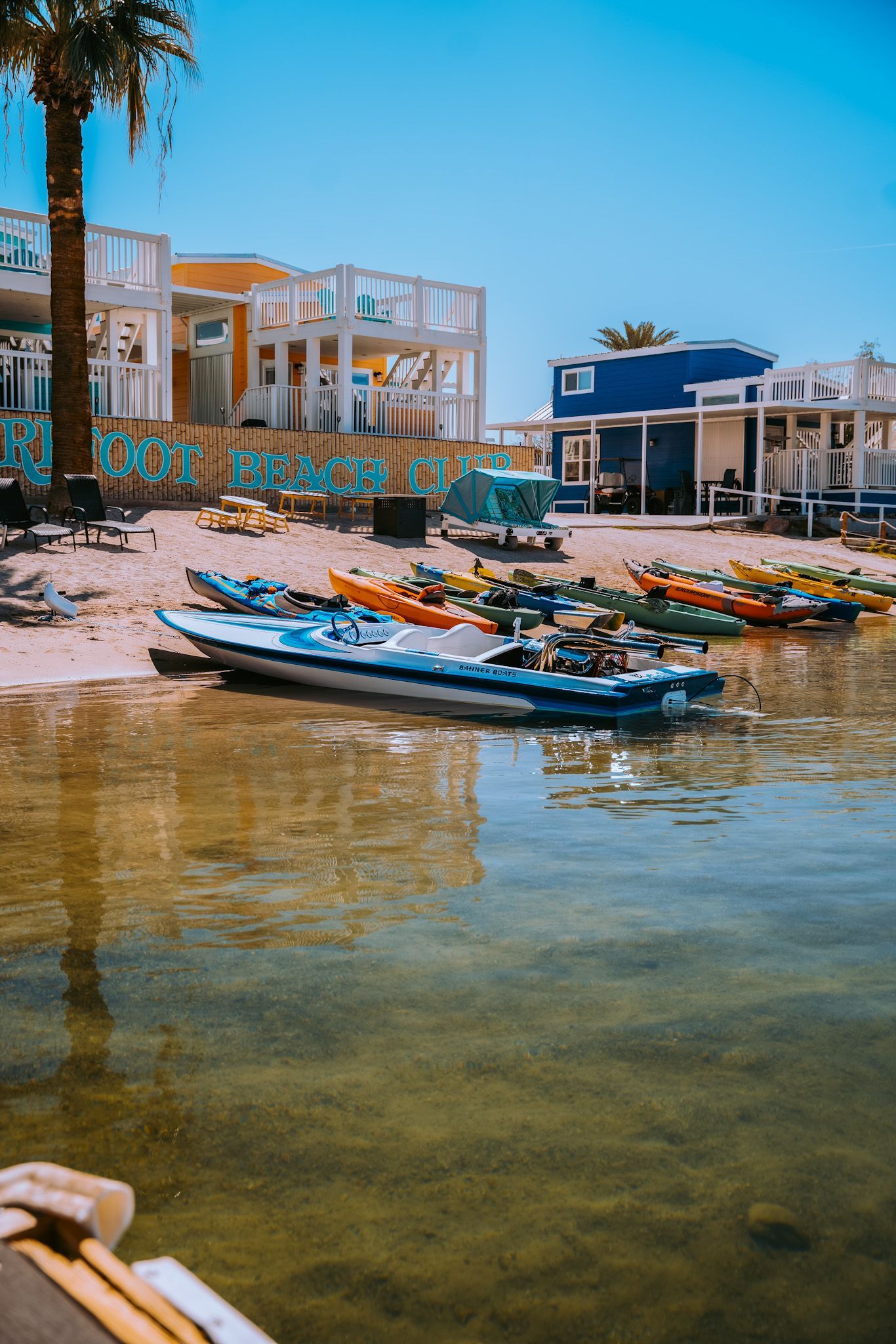 A row of boats are docked on the shore of a lake.