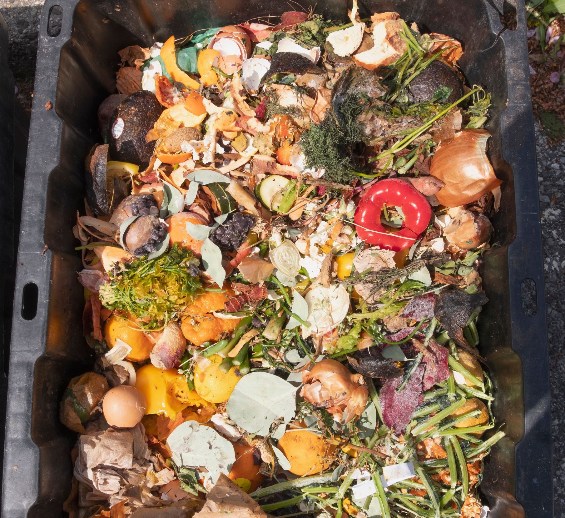 Compost bin filled with various food scraps, including vegetable and fruit peelings, eggshells, and leaves.