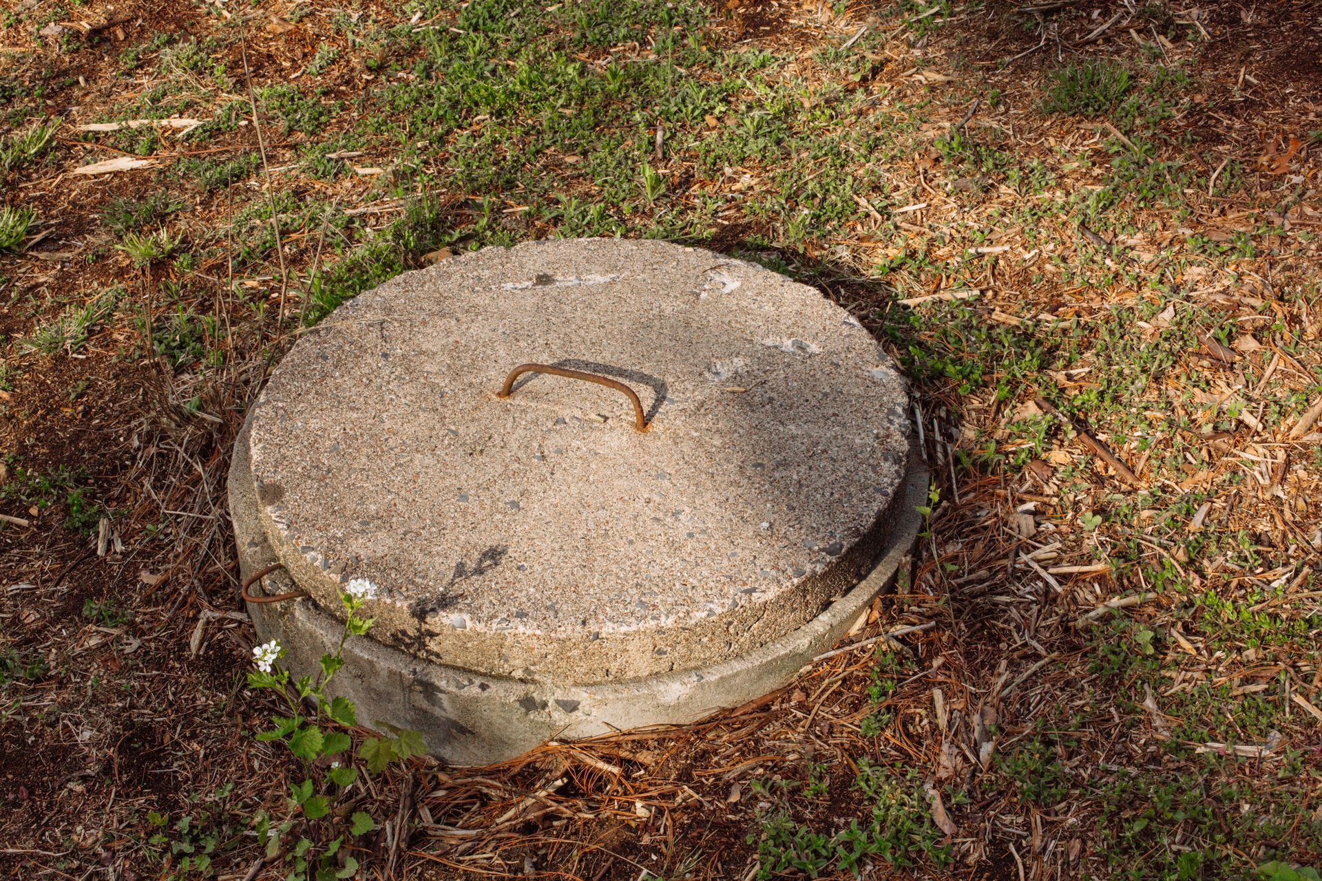 Circular concrete lid on the ground, with metal handle, in a grassy area.