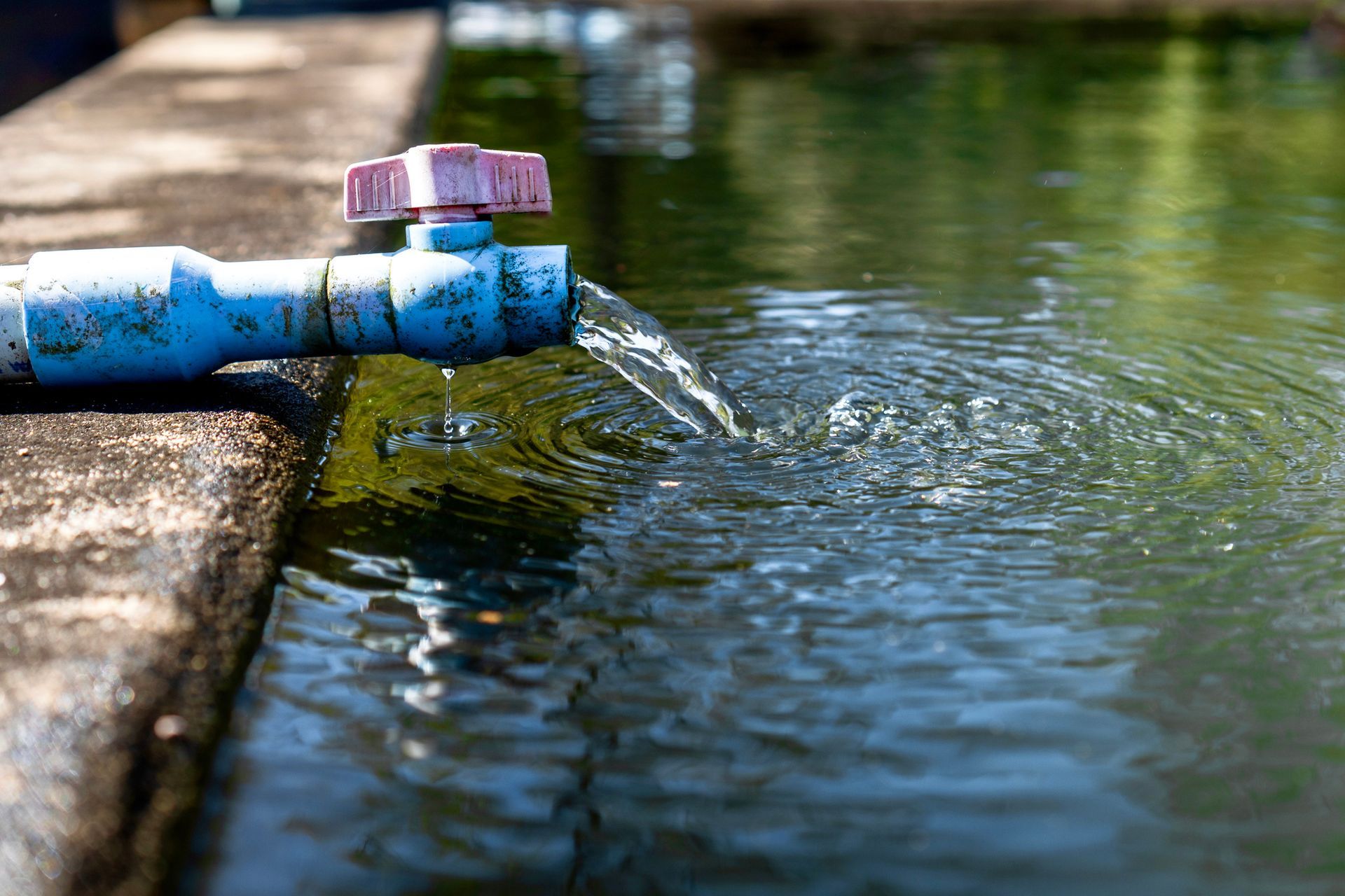 Water flowing from blue pipe into a murky pond. Pink valve handle visible.