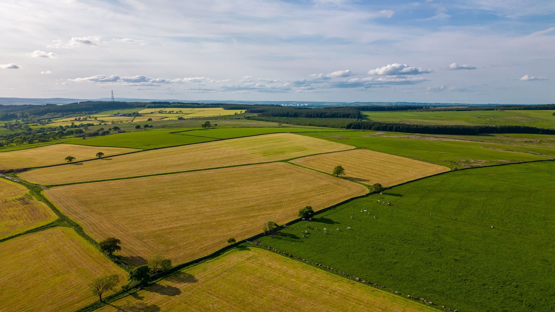 Fields of wheat and grass, divided by stone walls, under a partly cloudy sky.