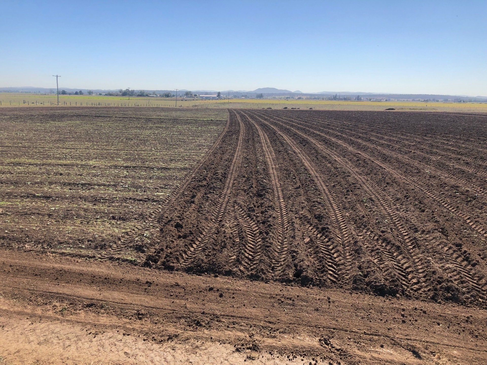 Ploughed farm field, brown soil with parallel furrows under a blue sky, some unplowed sections.