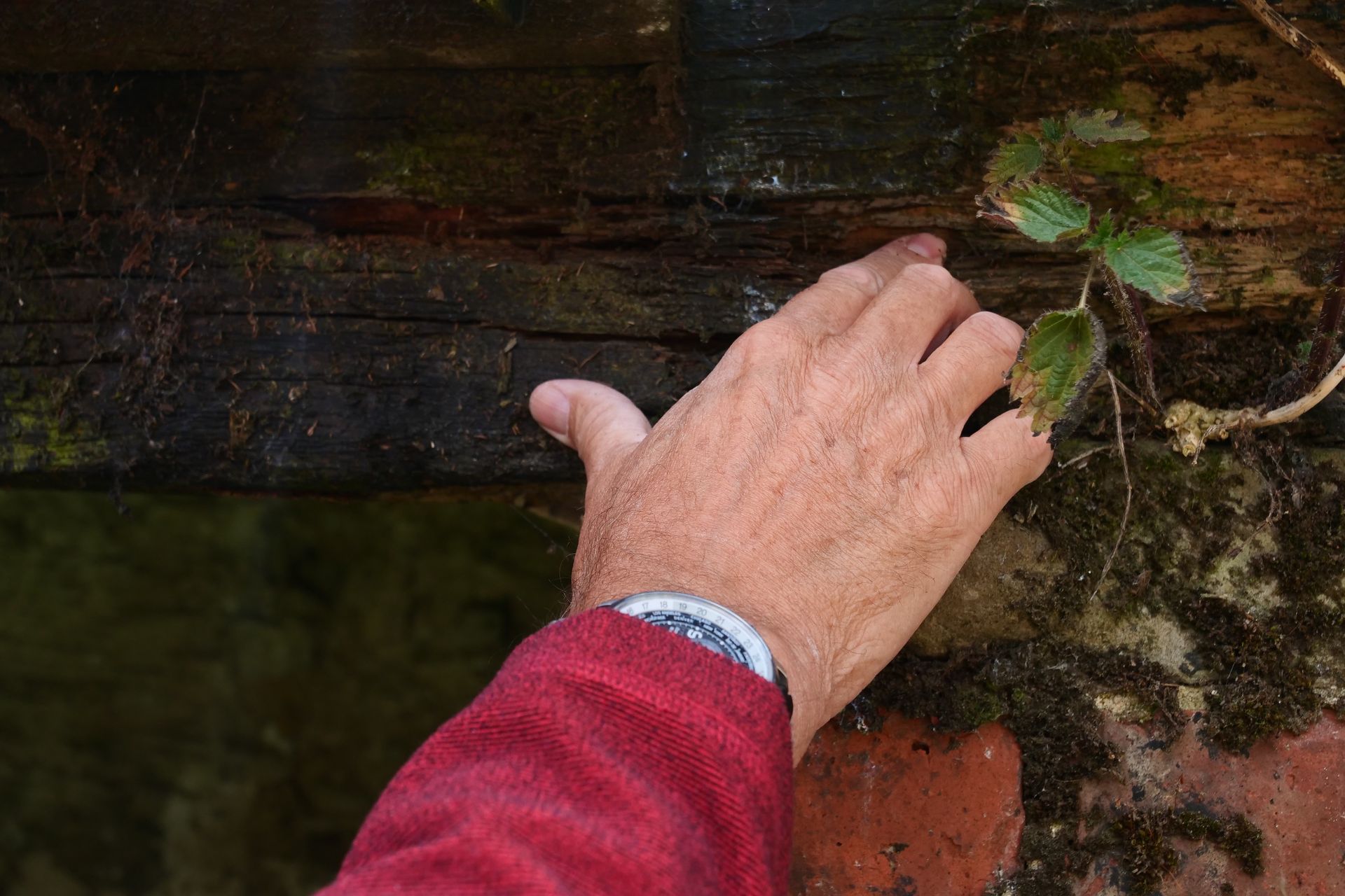 A hand touches a weathered wooden beam. The person wears a red sweater. Moss and plant life grow around the wood and brick.