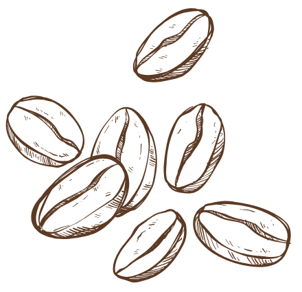 Brown coffee beans scattered on white background.