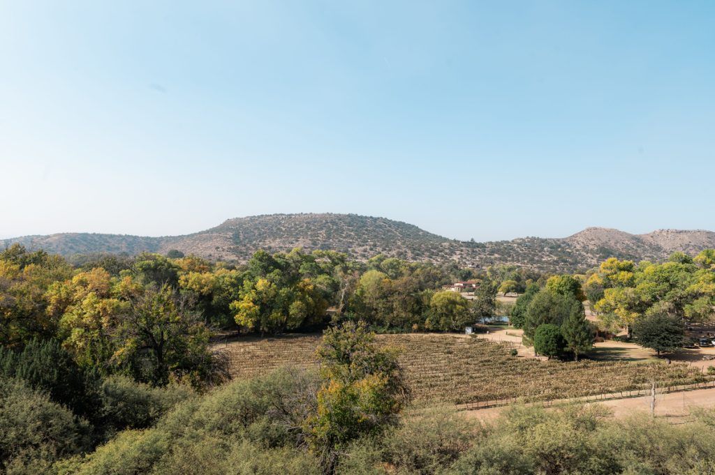 Vast landscape with trees and a distant hill under a clear blue sky.