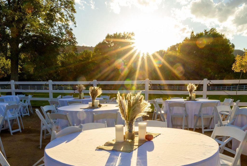 Outdoor event tables set for a wedding reception, with sunlight shining through trees.