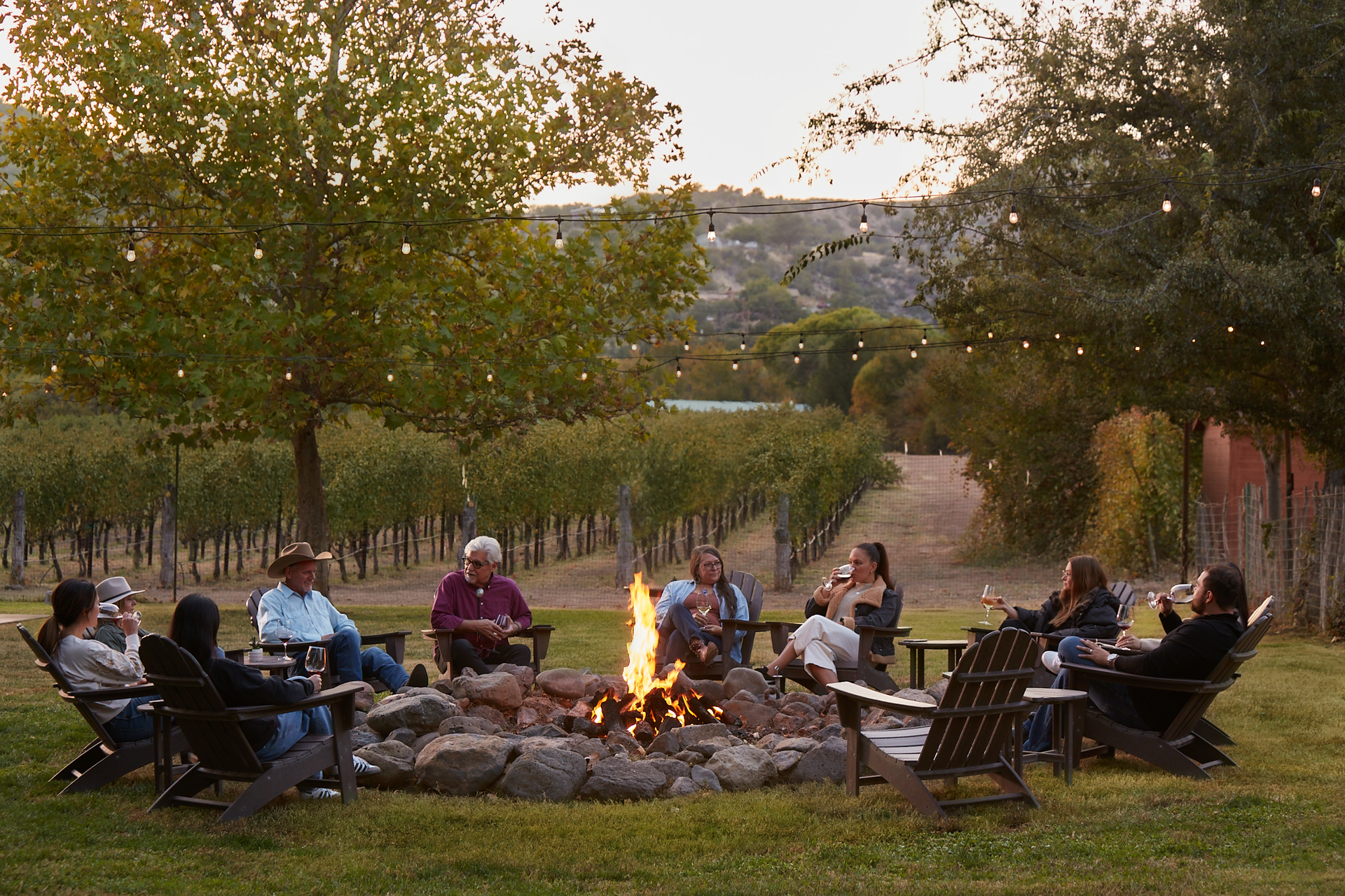 Group of people gathered around a campfire in a vineyard at dusk.