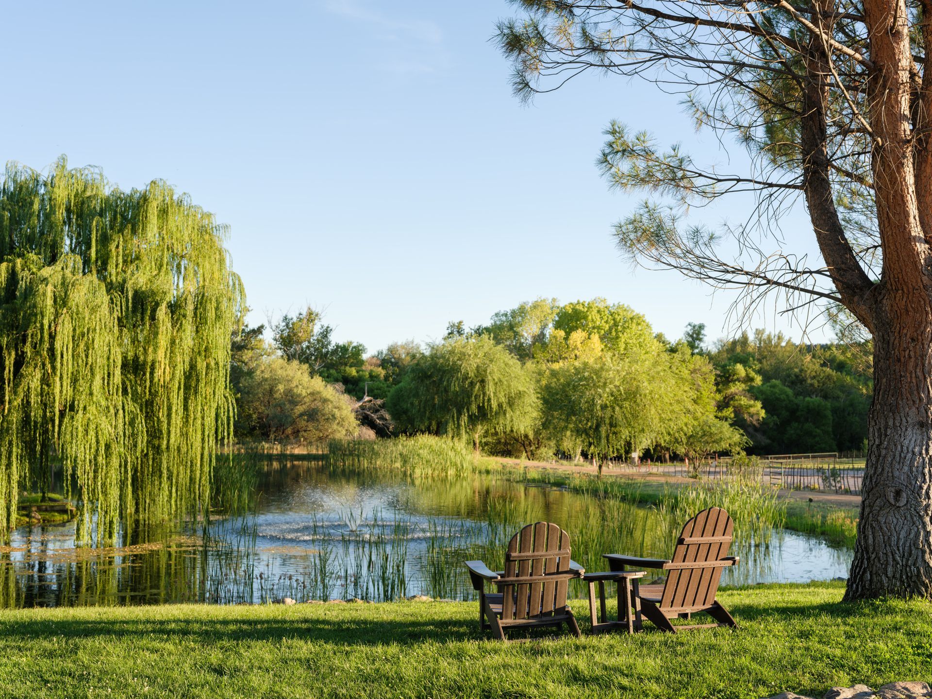 People dancing under a wooden pergola at an outdoor event, sunny day.