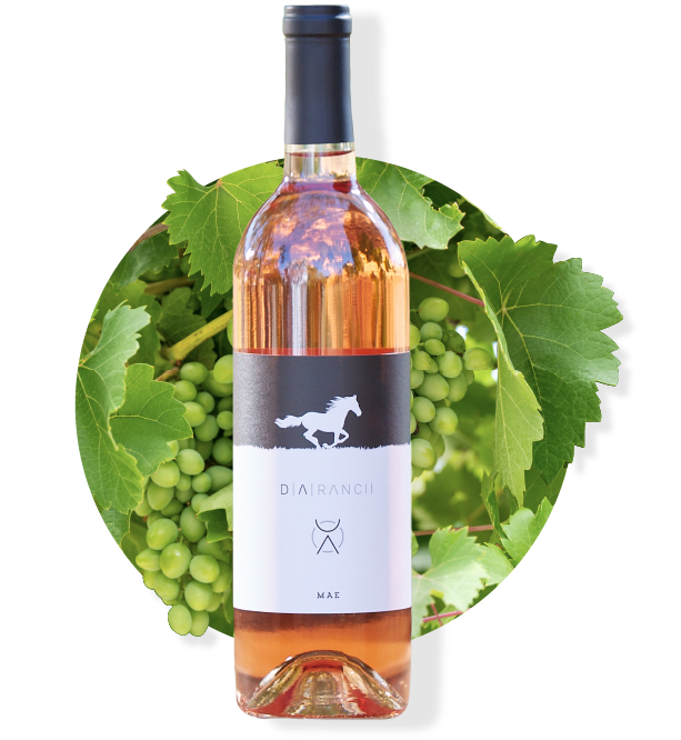 Bottle of rose wine with a white label, horse logo, surrounded by green grapes and leaves.