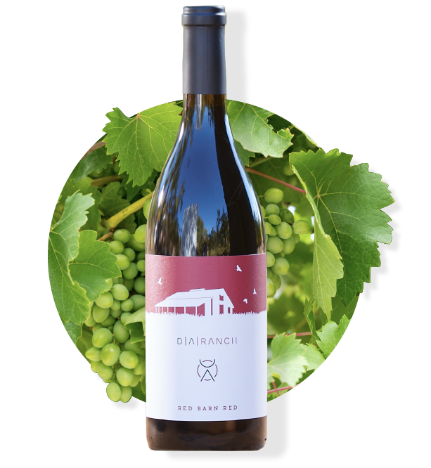 Bottle of red wine, label with a farm illustration, surrounded by green grapes and leaves.