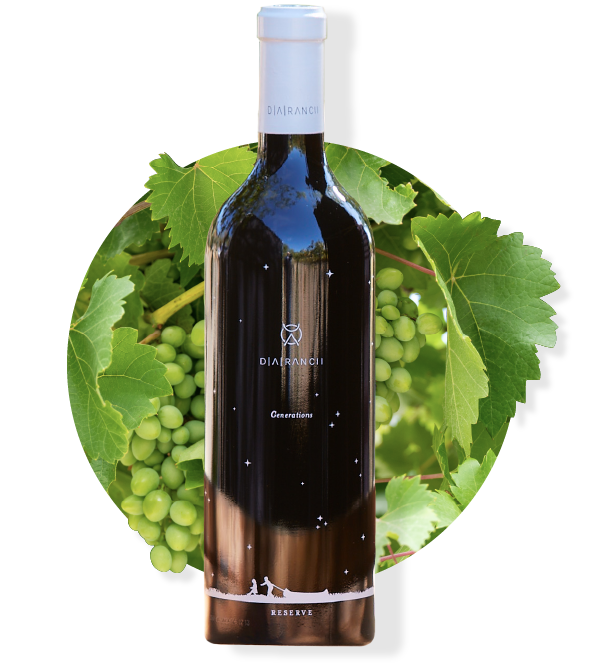 Wine bottle with white cap, label, set against green grapes and leaves.