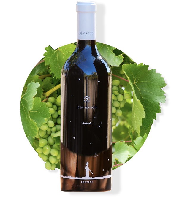 Bottle of dark red wine with white label, surrounded by green grape leaves and fruit.