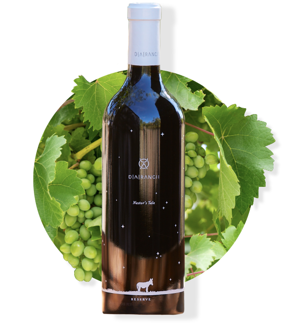 Bottle of red wine against a background of green grapes and leaves. Label has a donkey illustration.