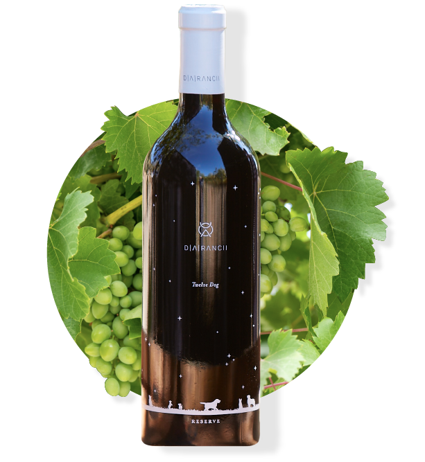 Bottle of red wine against a backdrop of green grapes and leaves; white bottle top and label with a dog silhouette.