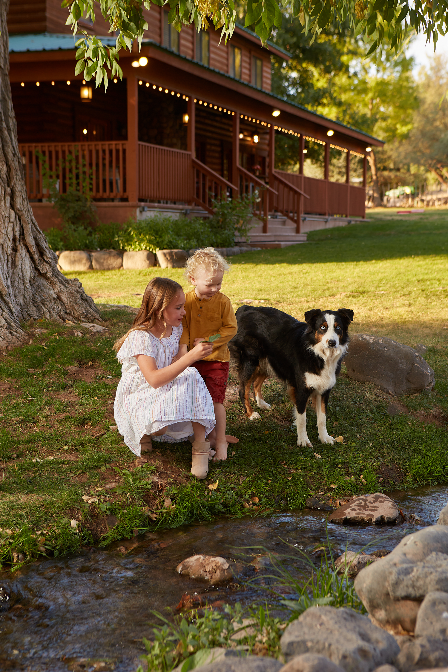 Two children and a dog by a creek, in front of a cabin. The girl smiles, the boy looks at dog.