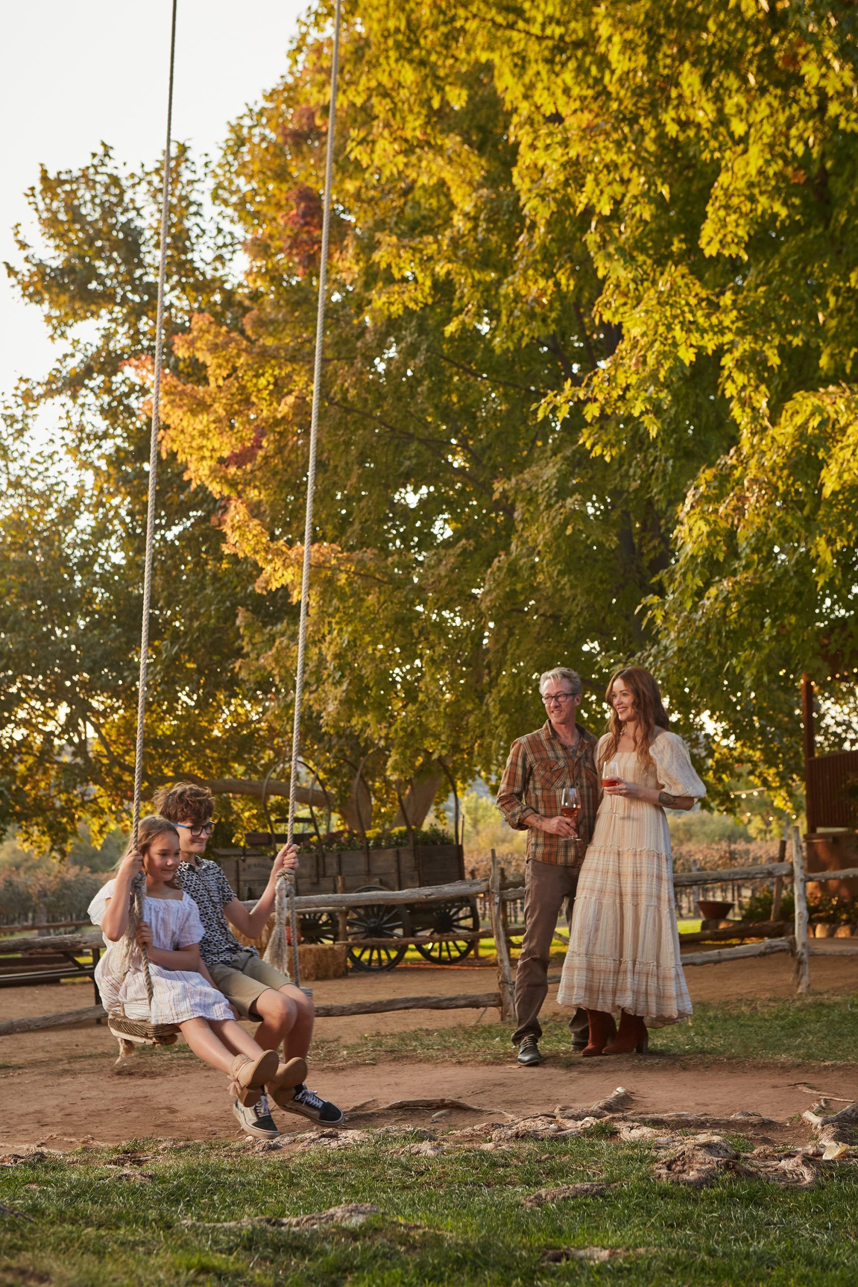 Family enjoying a sunny day. People on a swing, others standing holding glasses near a tree.