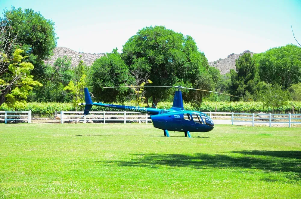 Group of people at a vineyard, some holding wine glasses. Woman in purple jacket smiles, looking at the camera.