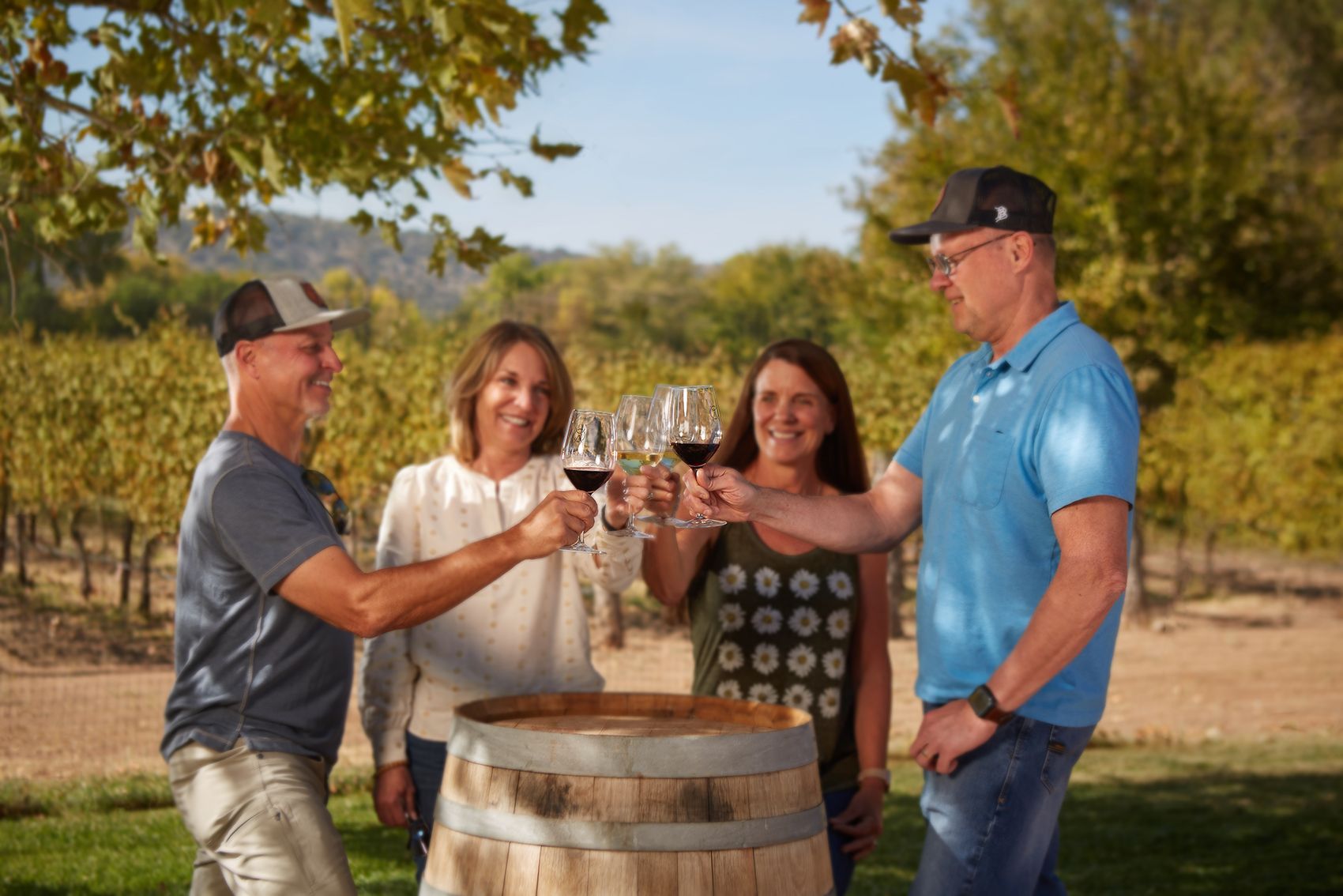 Four people toasting wine glasses near a barrel in a vineyard.