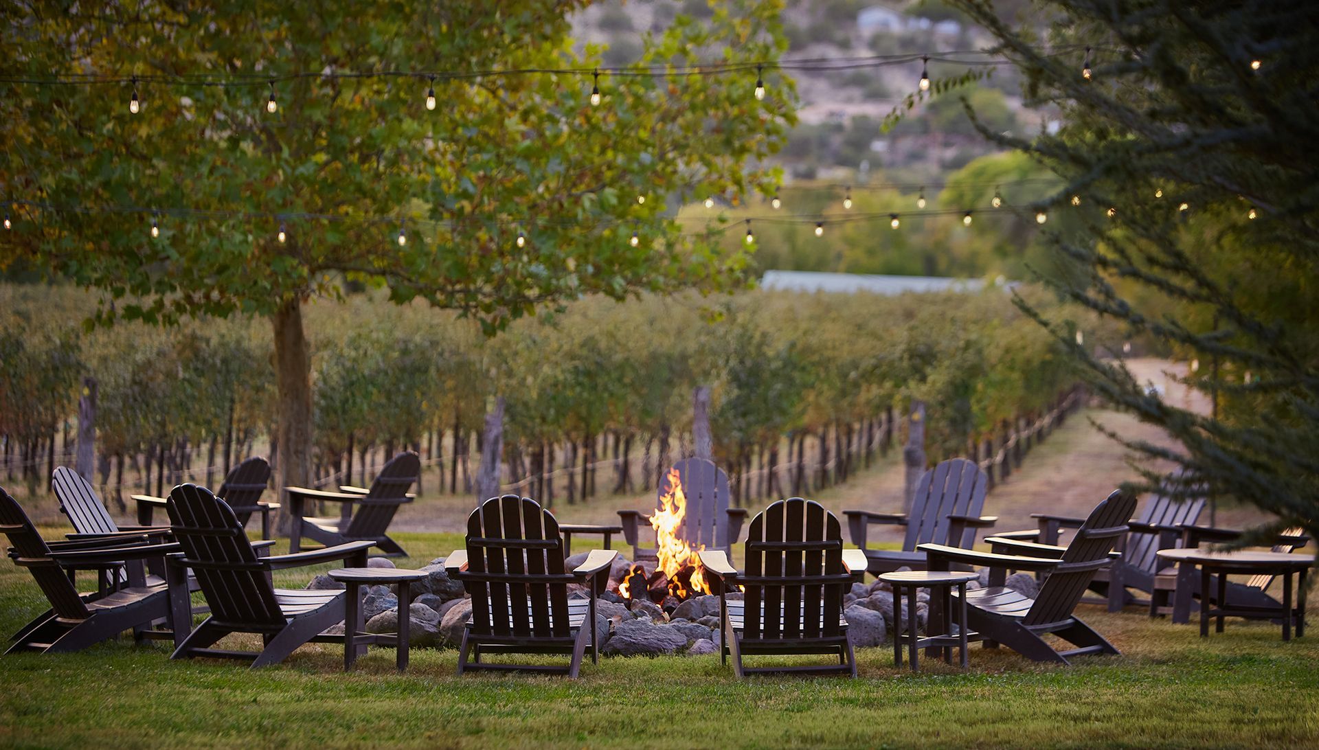Fire pit with Adirondack chairs set in a vineyard, under string lights at dusk.